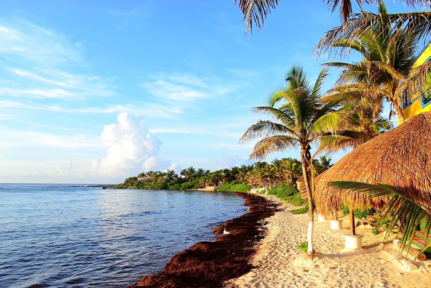 Half Moon Bay California - Image 1