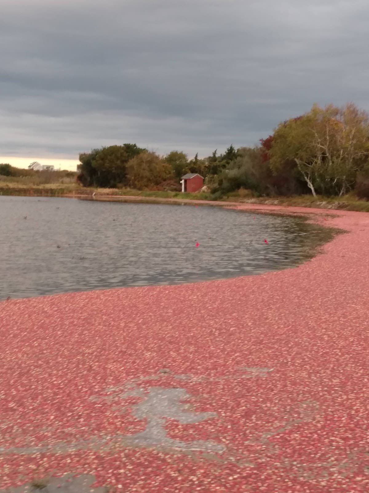 East Sandwich Massachusetts - Image 1