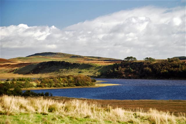 Greenlee Lough National Nature Reserve - Image 1