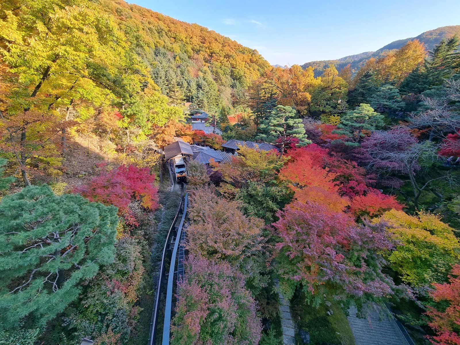 Diverse Themed Gardens