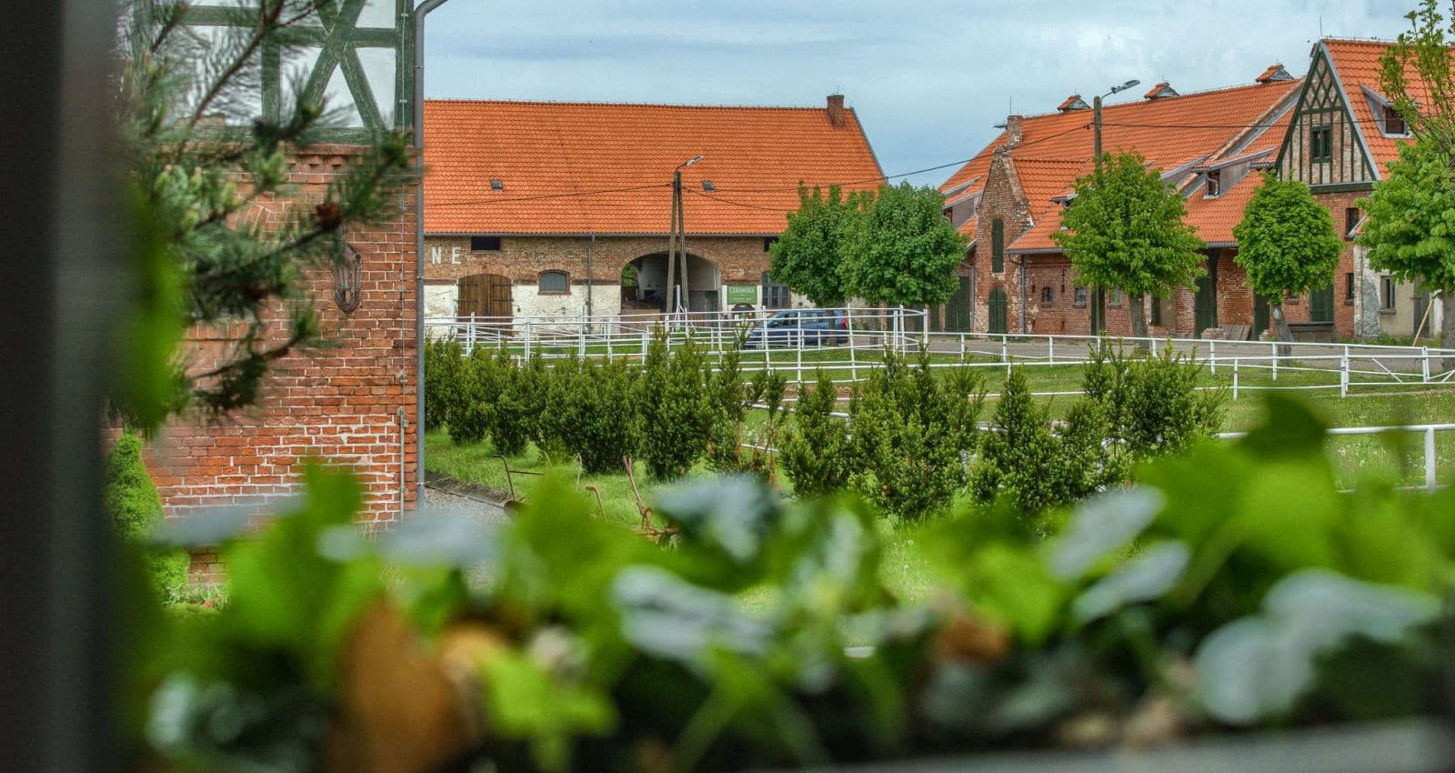 Kadyny Palace & Park - Image 1