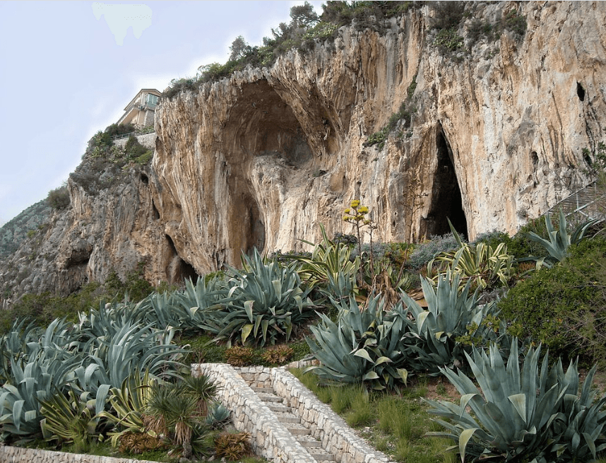 Staff-Led English Tours