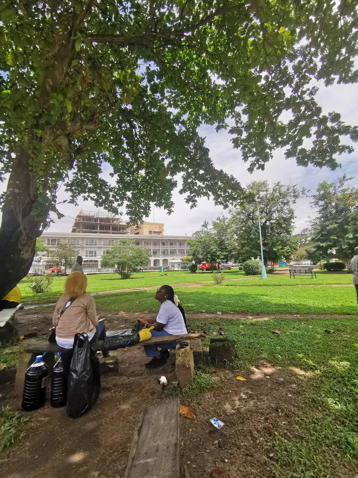 Braised Fish Delights