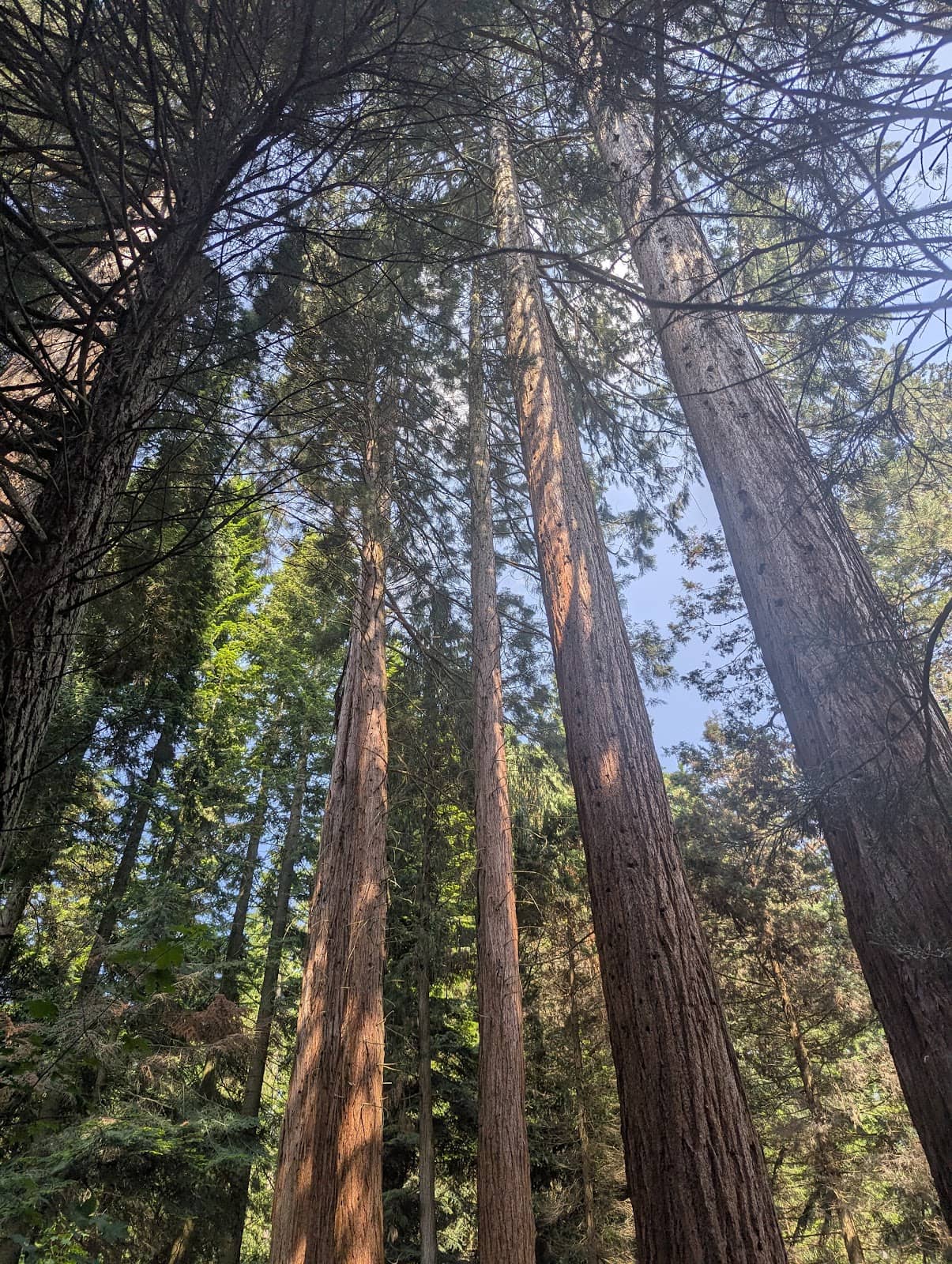 Educational Nature Walk