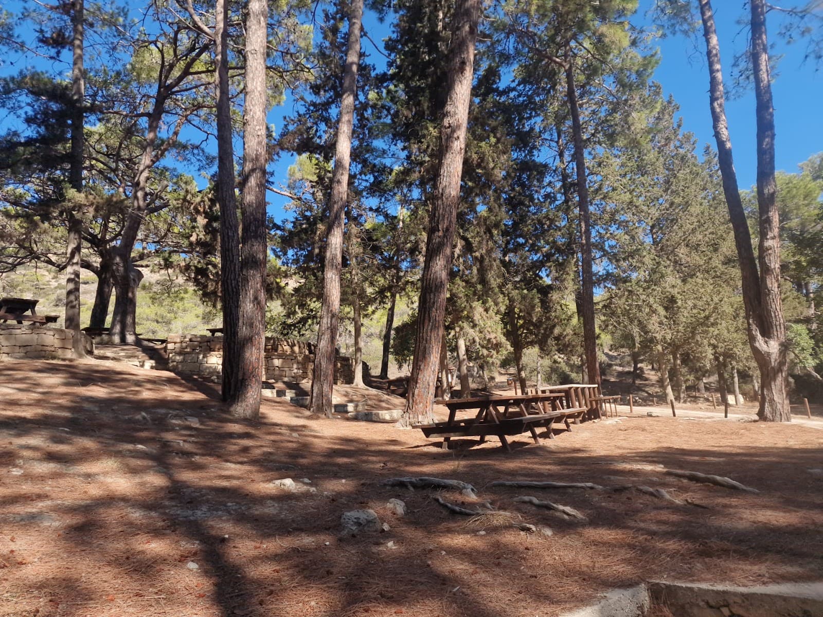 Smigies Picnic Site - Image 1