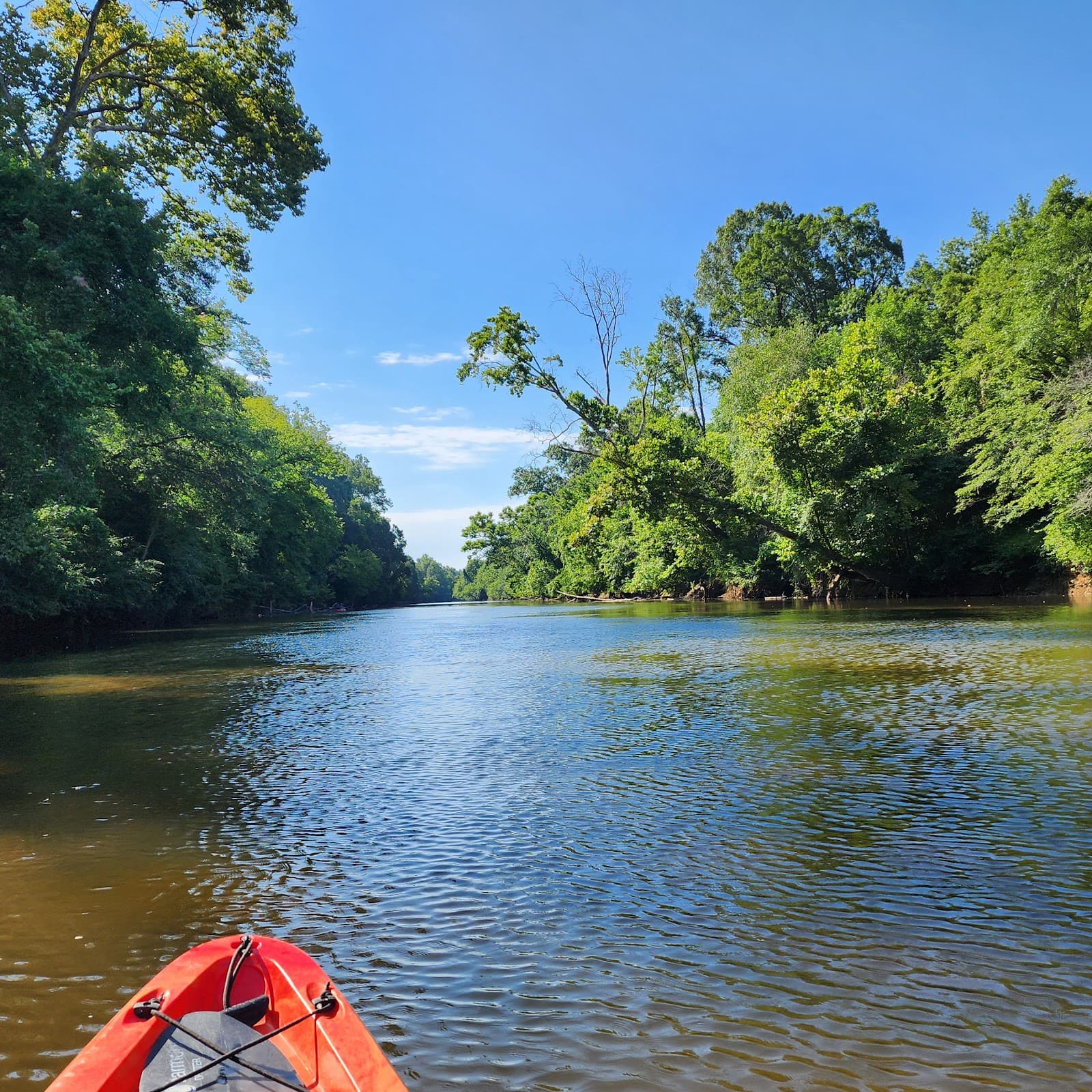 Neuse River Paddle Trail - Image 1