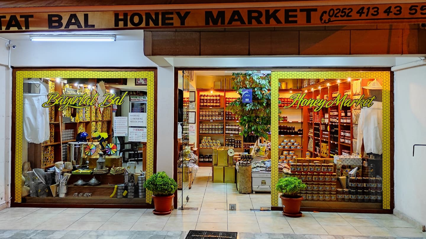 Bayır Village Plane Tree - Image 1