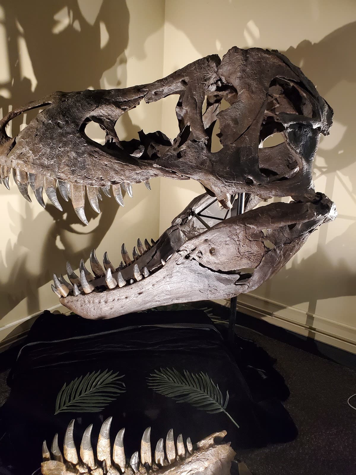 Weis Earth Science Museum - Image 1