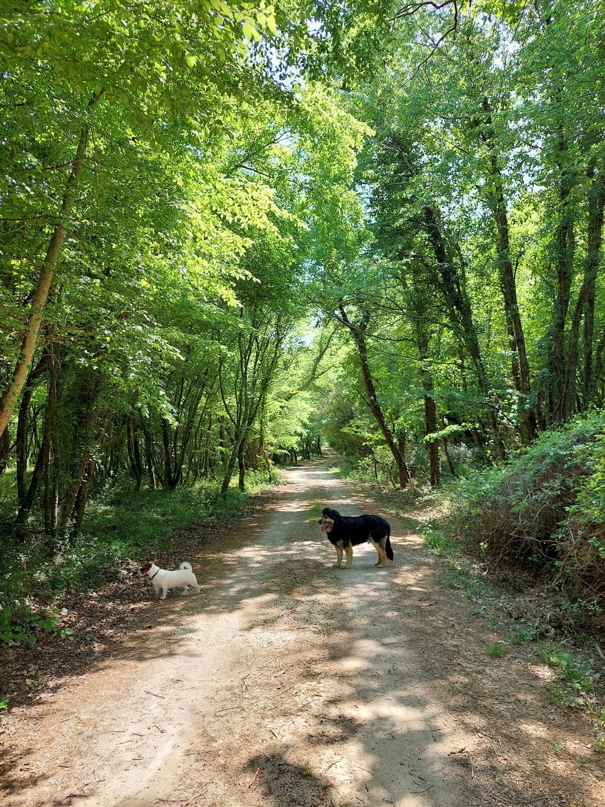 Interactive Nature Trails