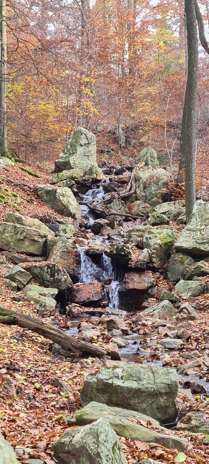 Source de Barisart - Image 1