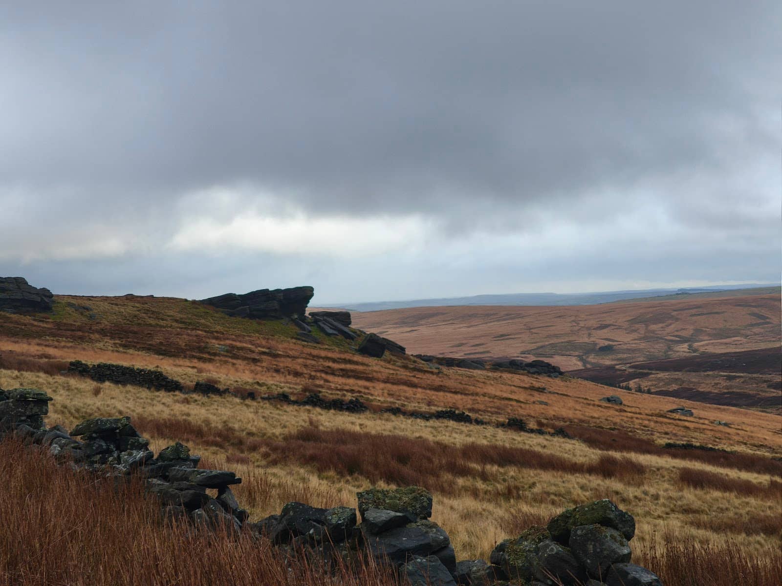 Panoramic Viewpoints