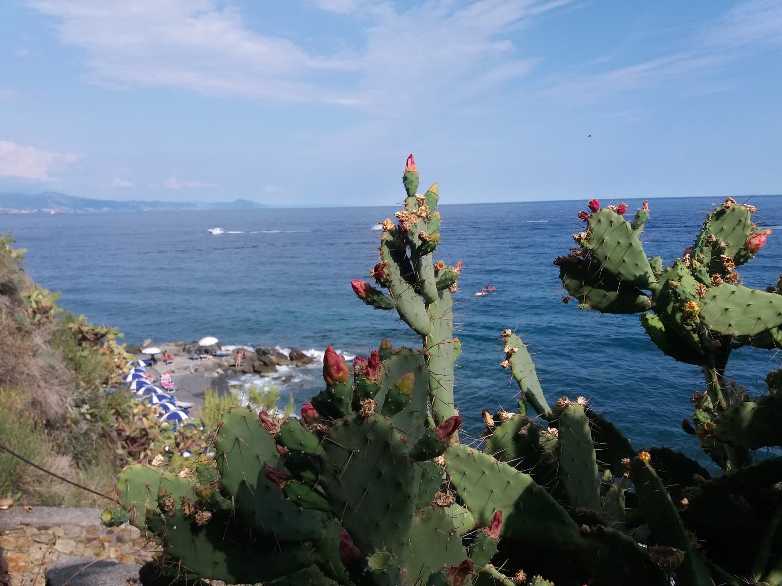 Pineta di Arenzano - Image 1