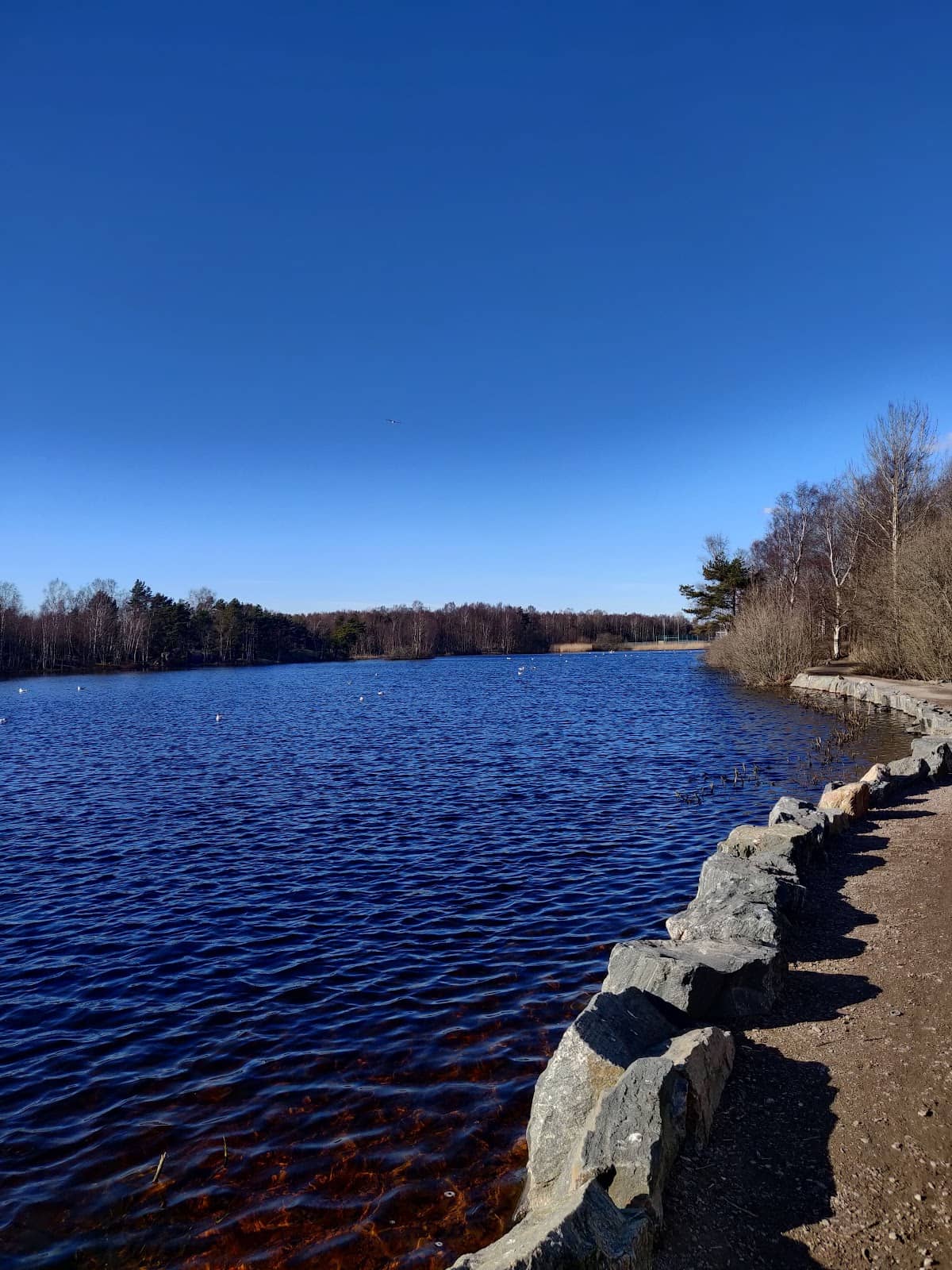 Children's Playground