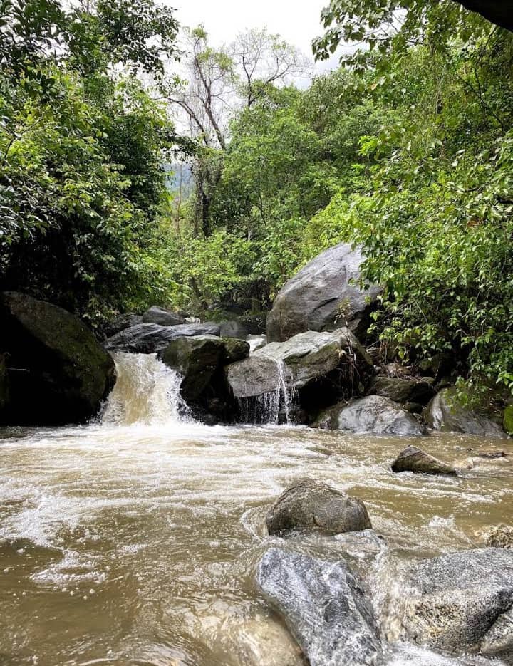 Malabar Giant Squirrel