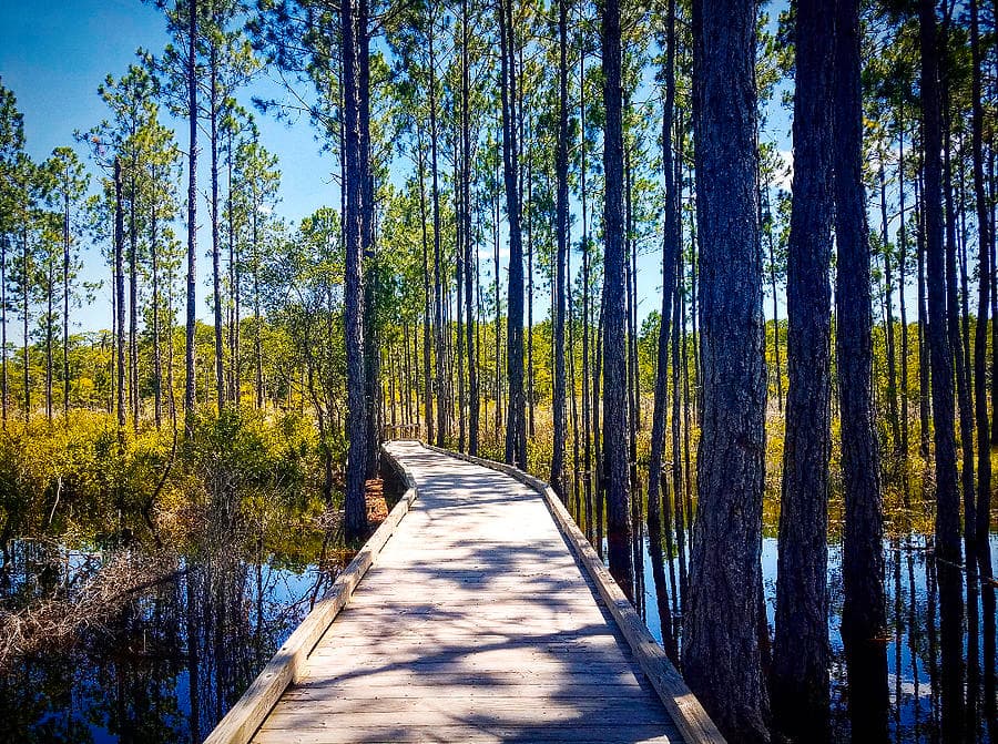 Conservation Park - Image 1