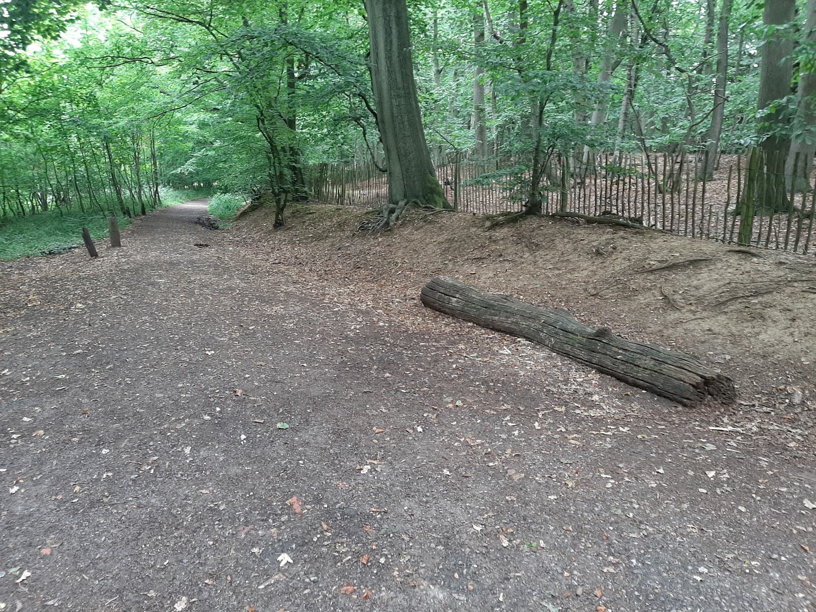 Bowsey Hill & Woods - Image 1