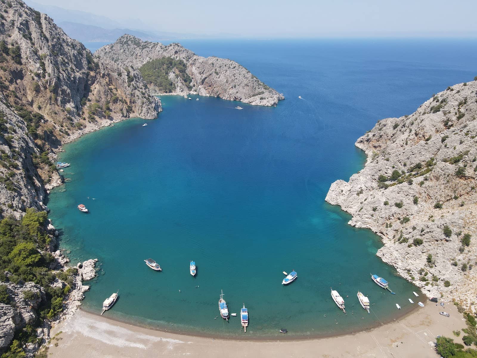 Potential for Wildlife Sightings