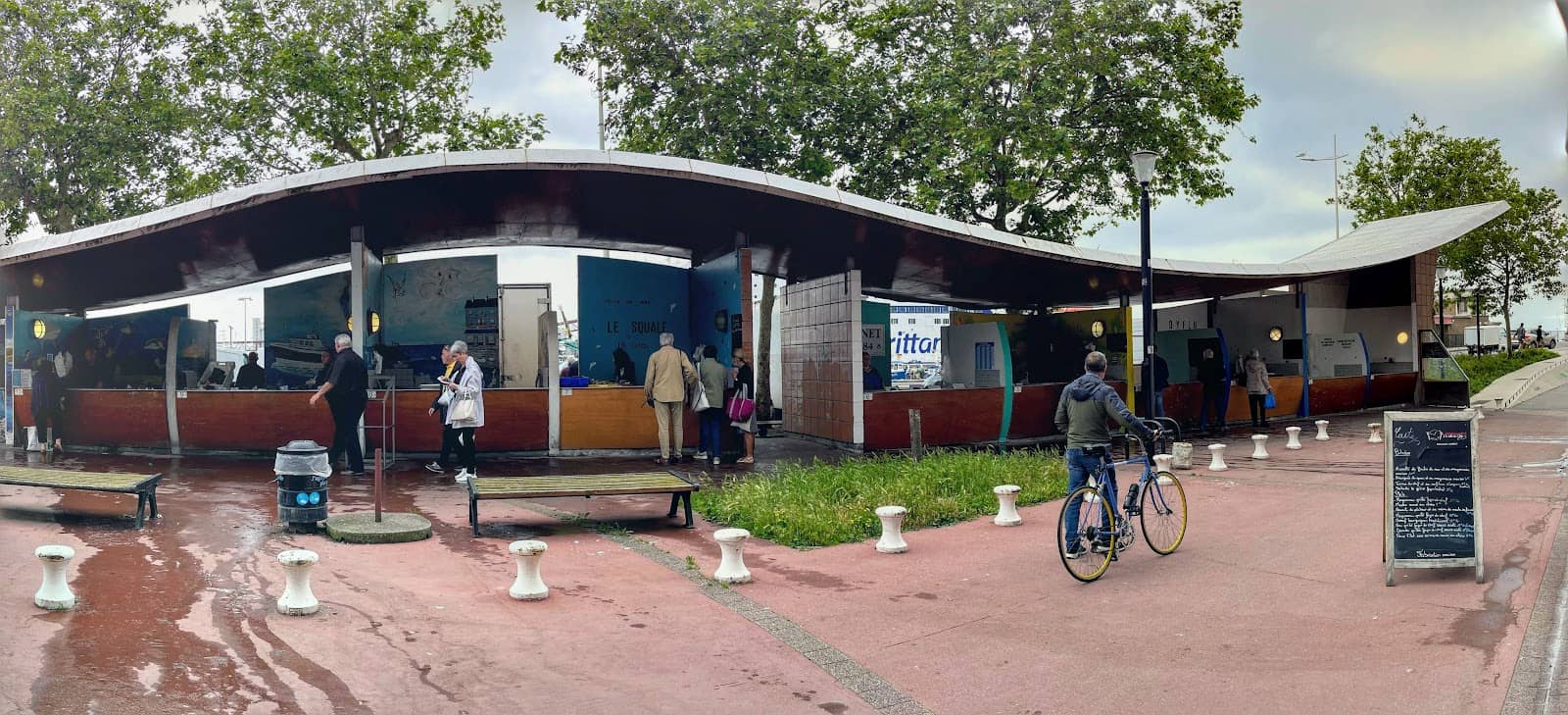 Scallop Season Delights