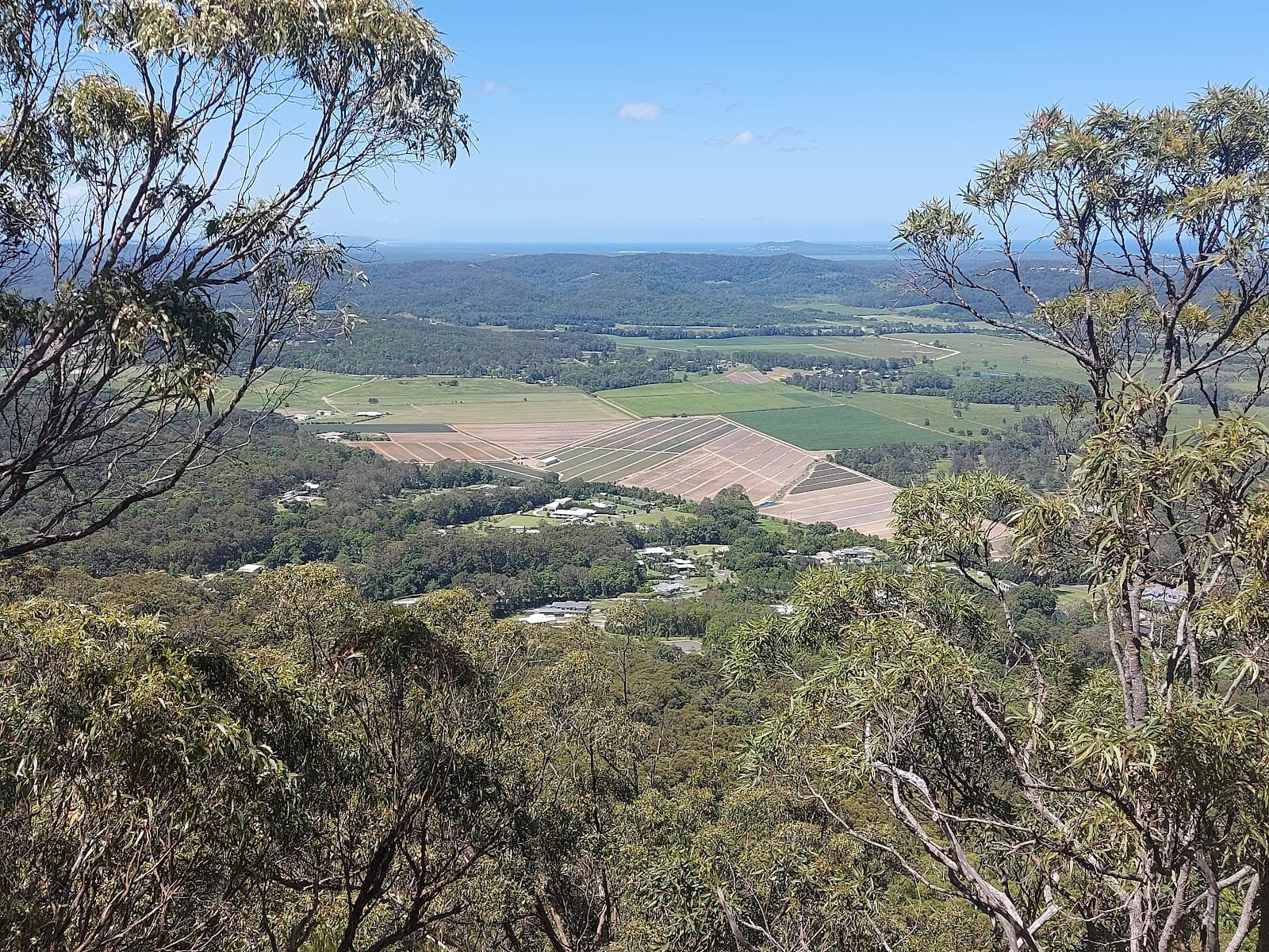 Mount Ninderry Summit - Image 1