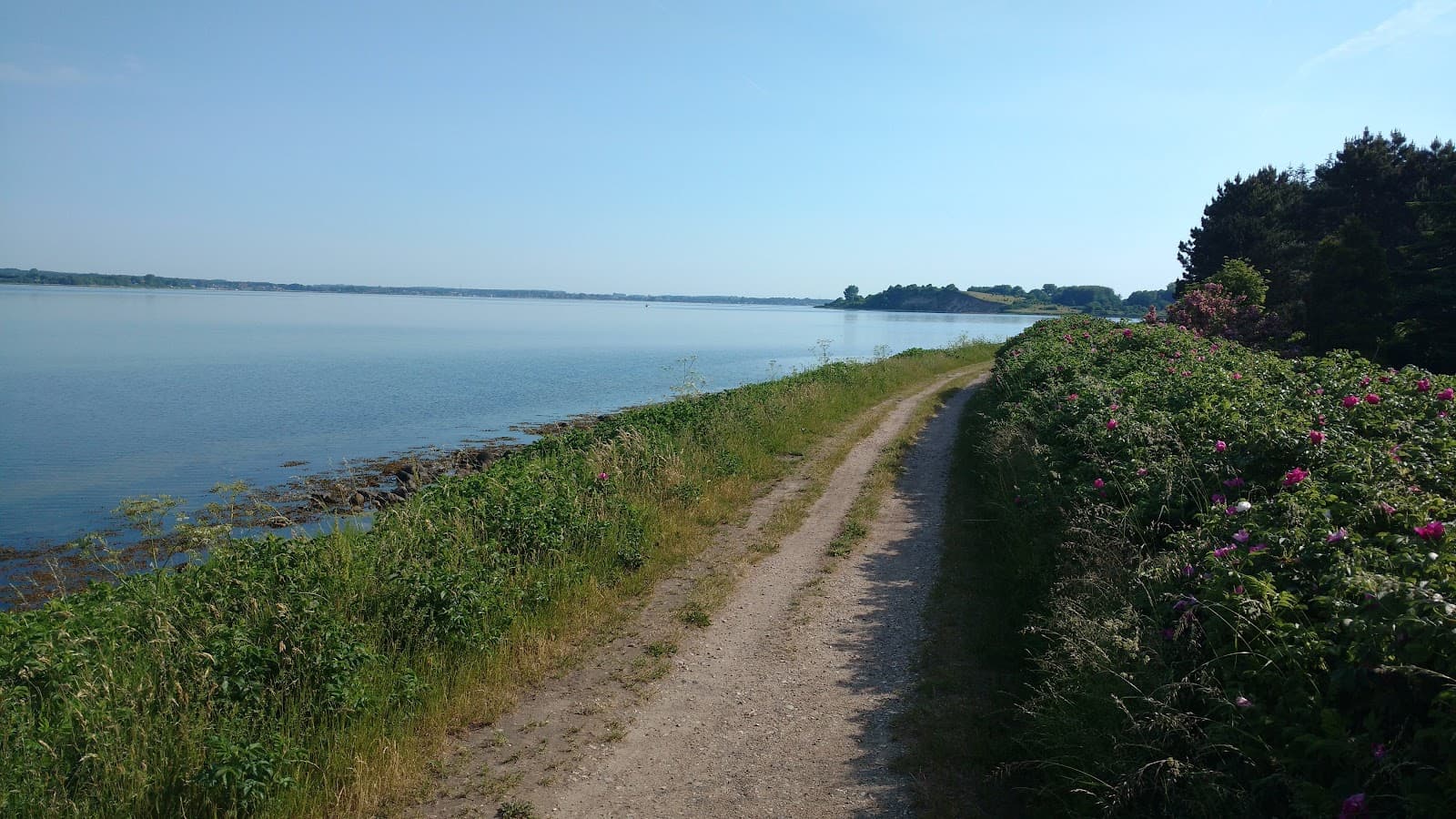 Holnis Peninsula - Image 1