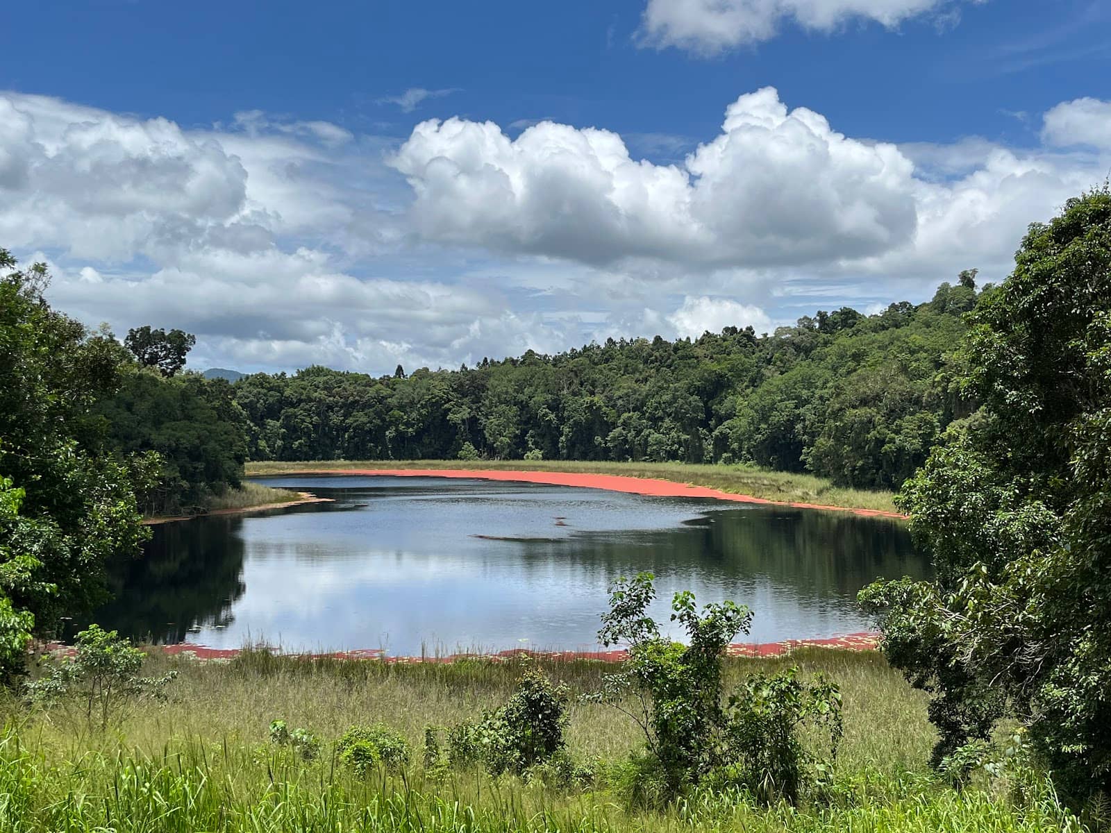 Rainforest Walking Trails