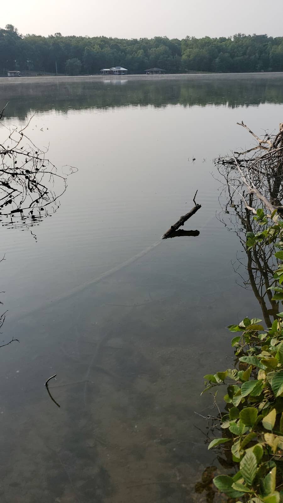 Scenic Lake Anna Views
