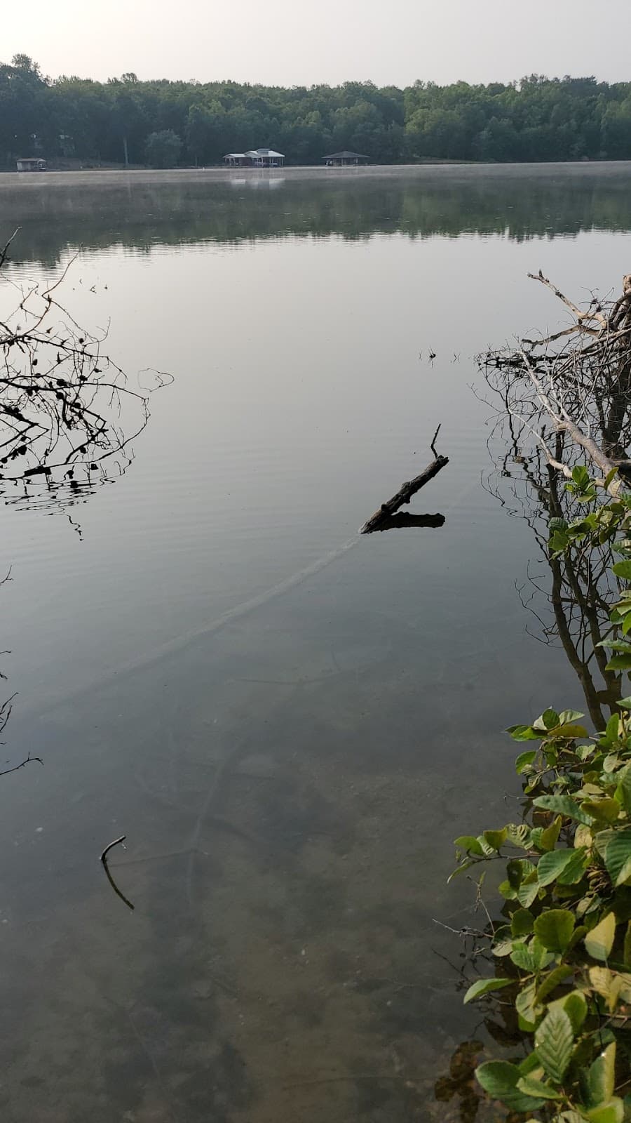 Gold Mine Loop Trail (Lake Anna) - Image 1