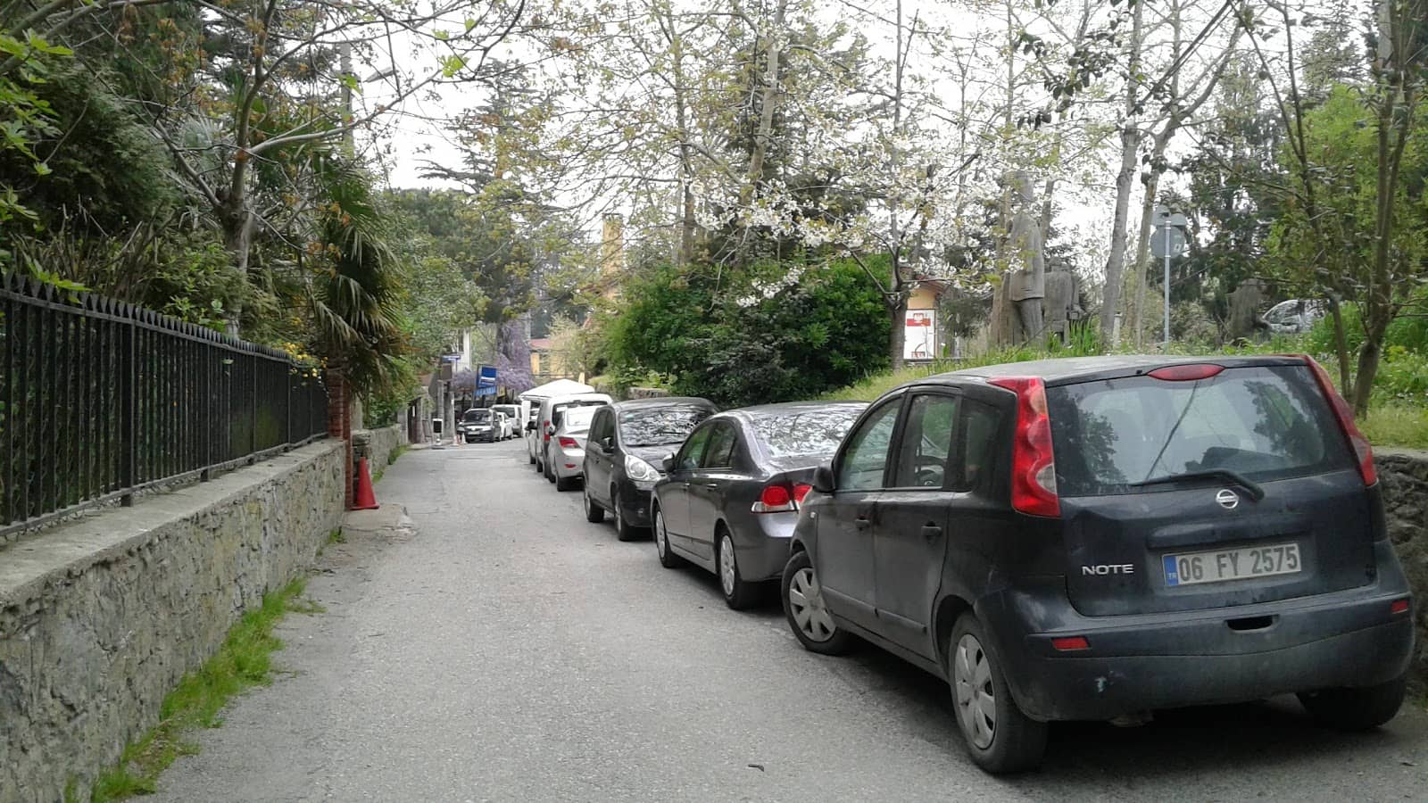 June Cherry Festival