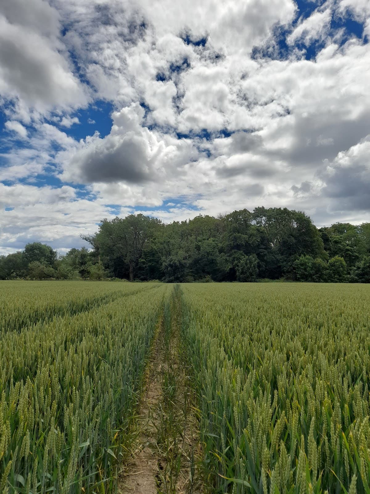 Arcot Nature Reserve - Image 1