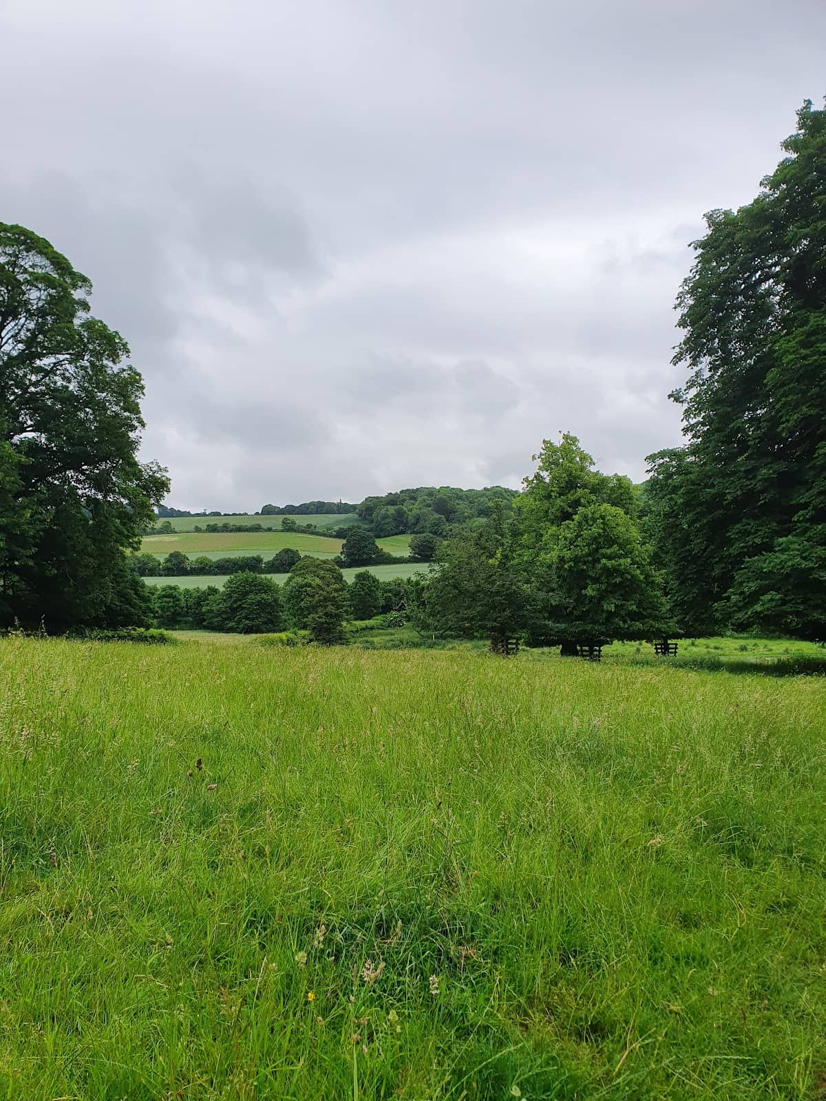 Chiltern Hills Hiking Trails