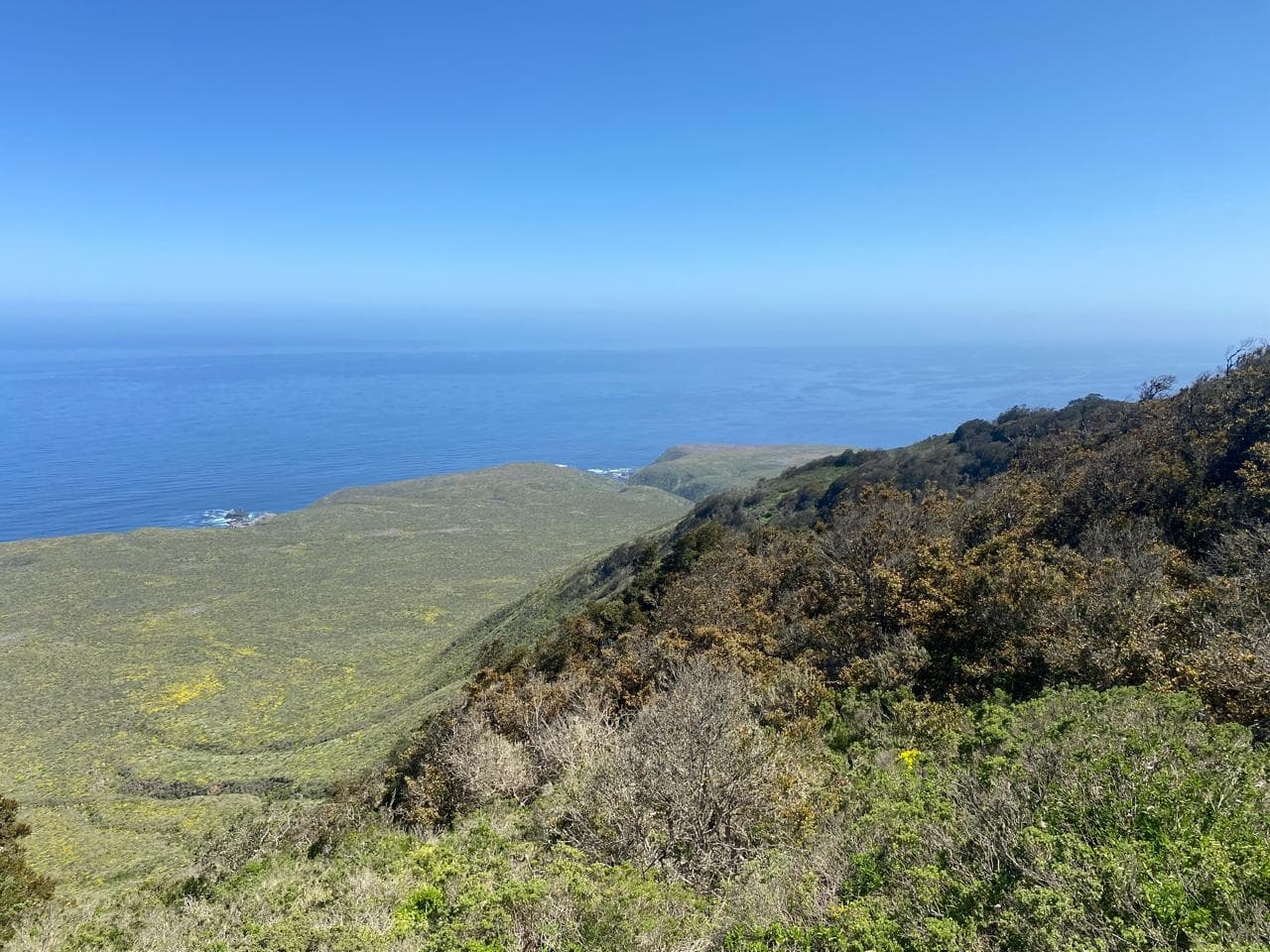 Fray Jorge National Park - Image 1