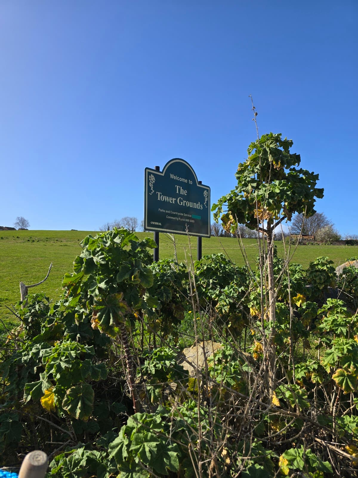 Tower Grounds - Image 1