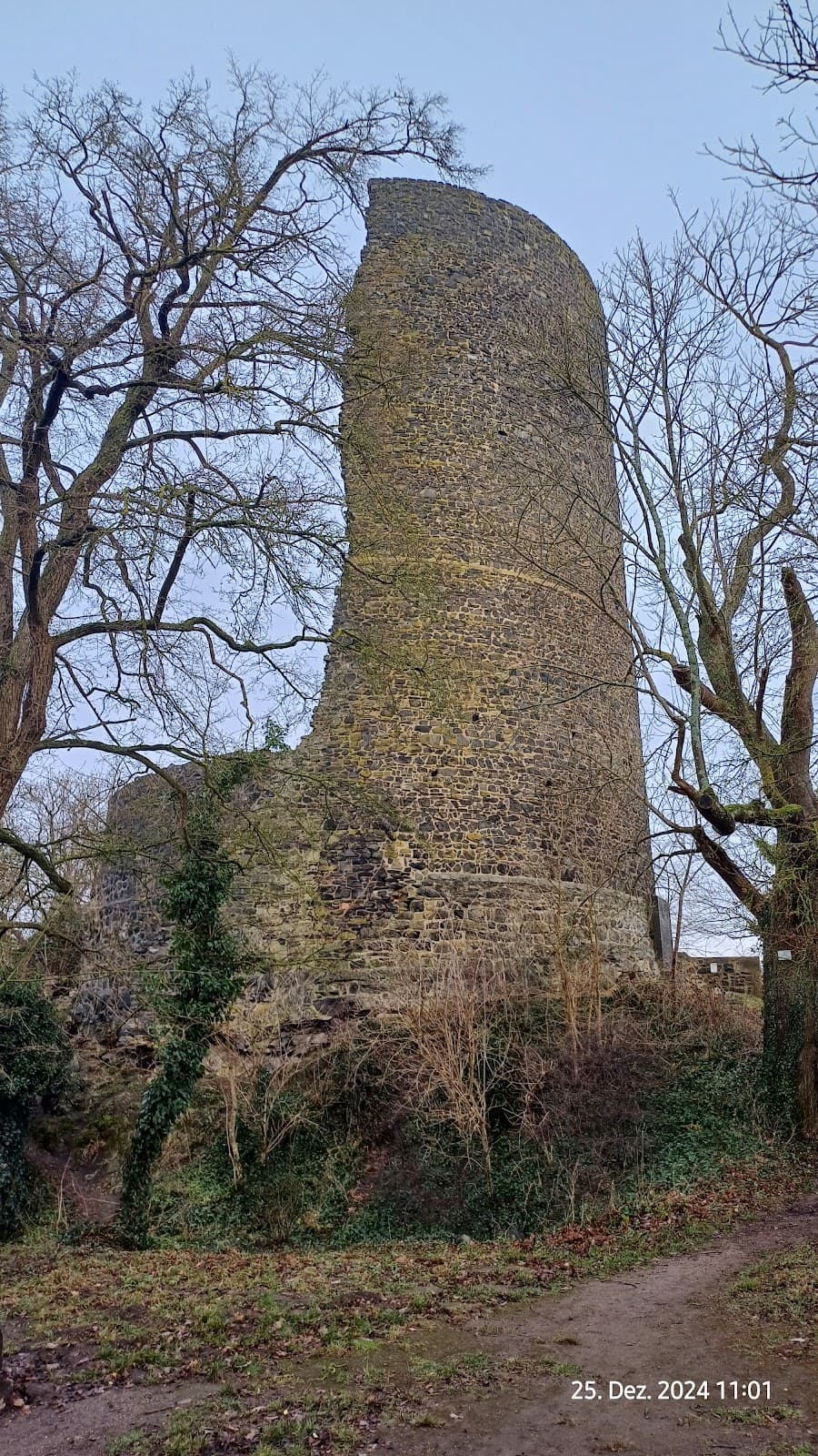 Hardtburg Castle Ruin - Image 1