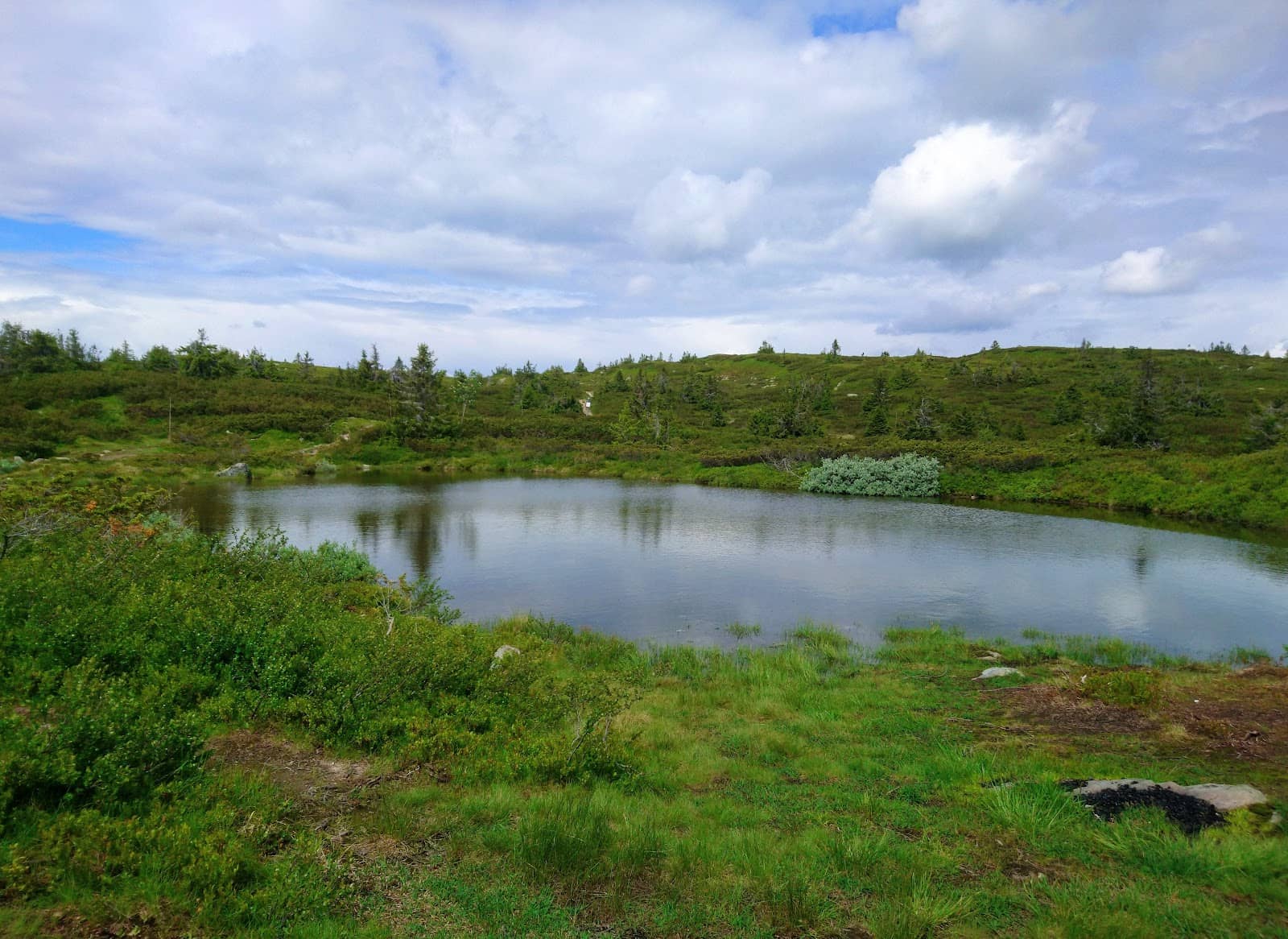 Vertical photo