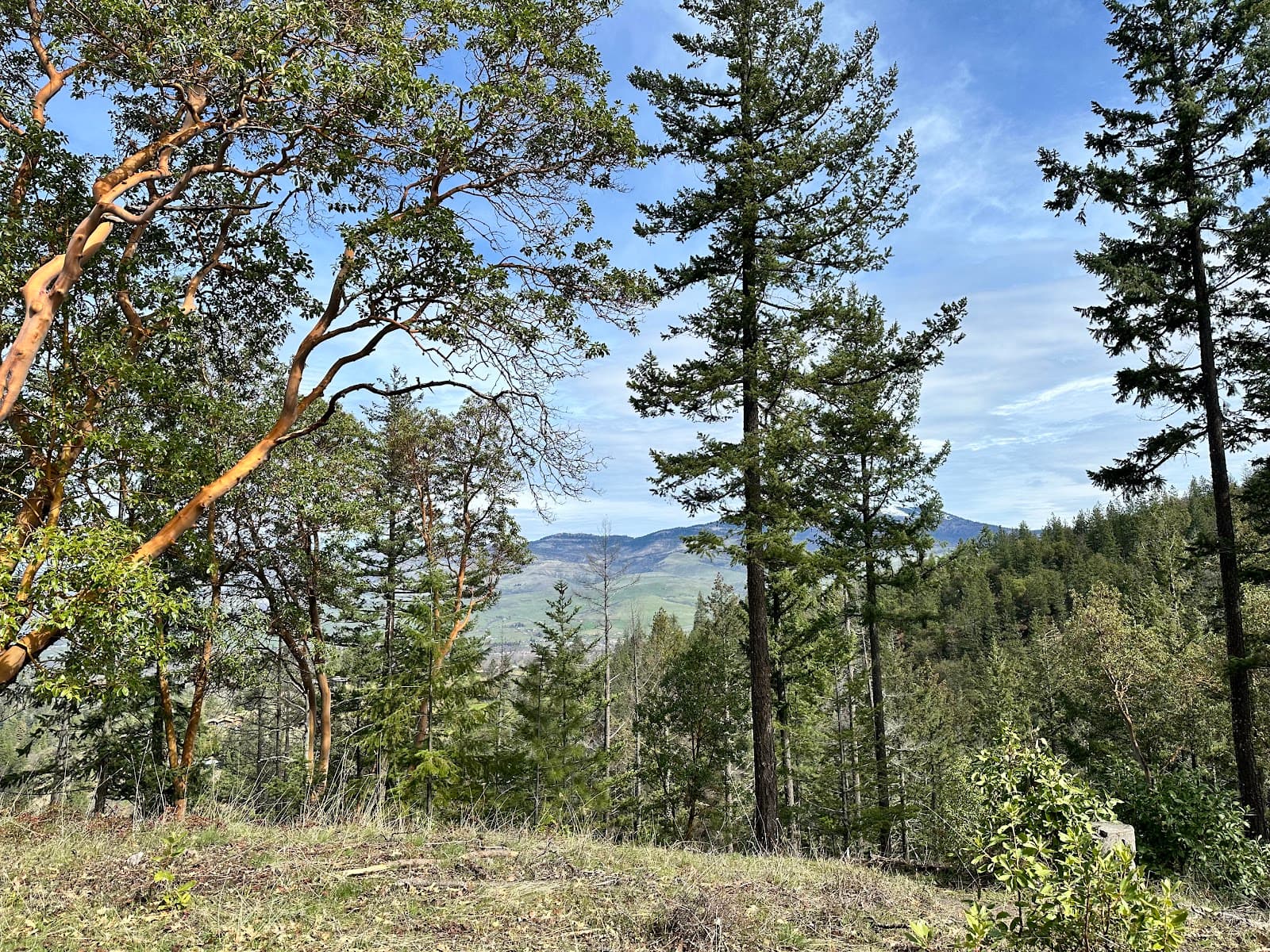 Bandersnatch Trail Art Walk - Image 1