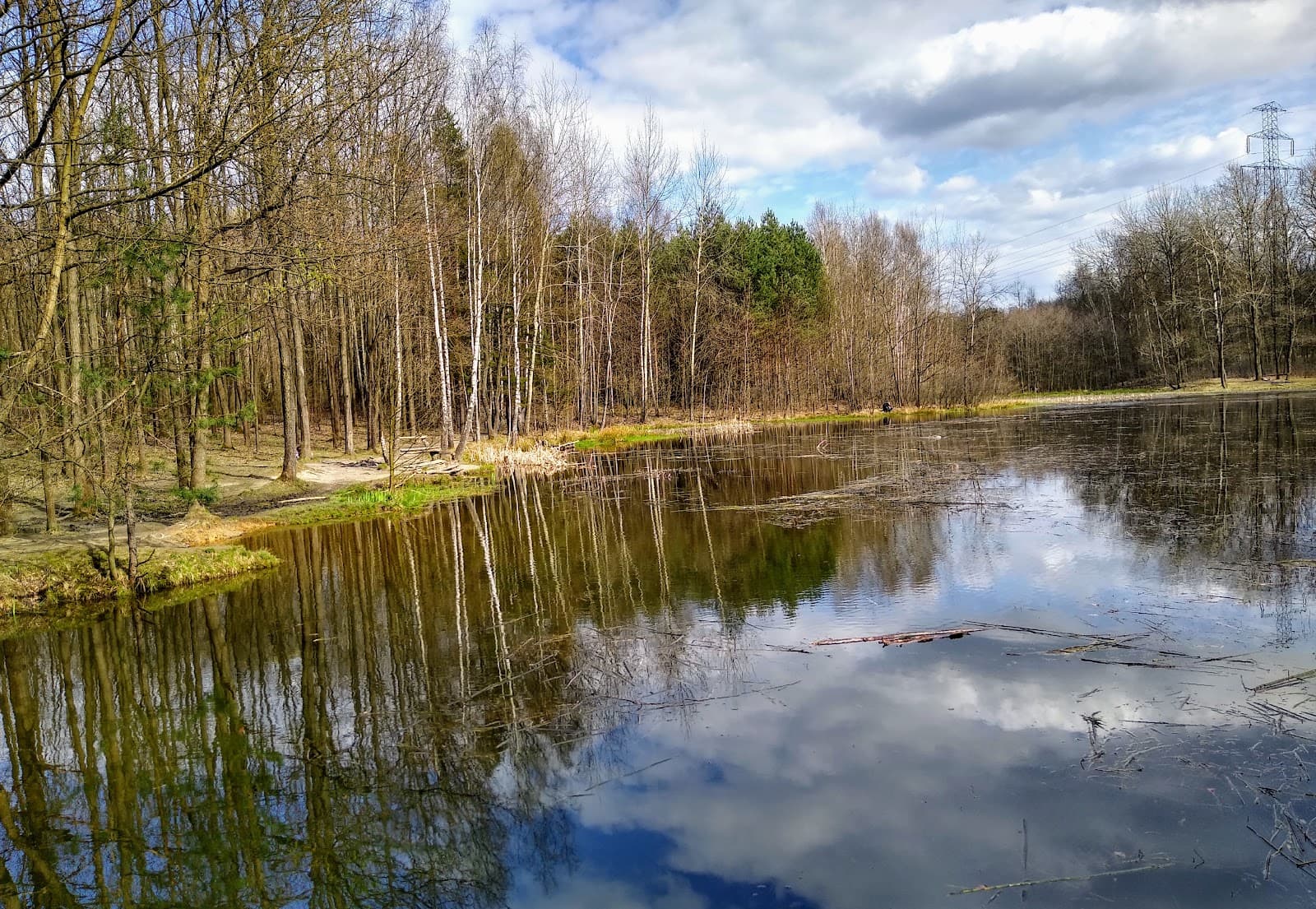 Ochojec Nature Reserve - Image 1