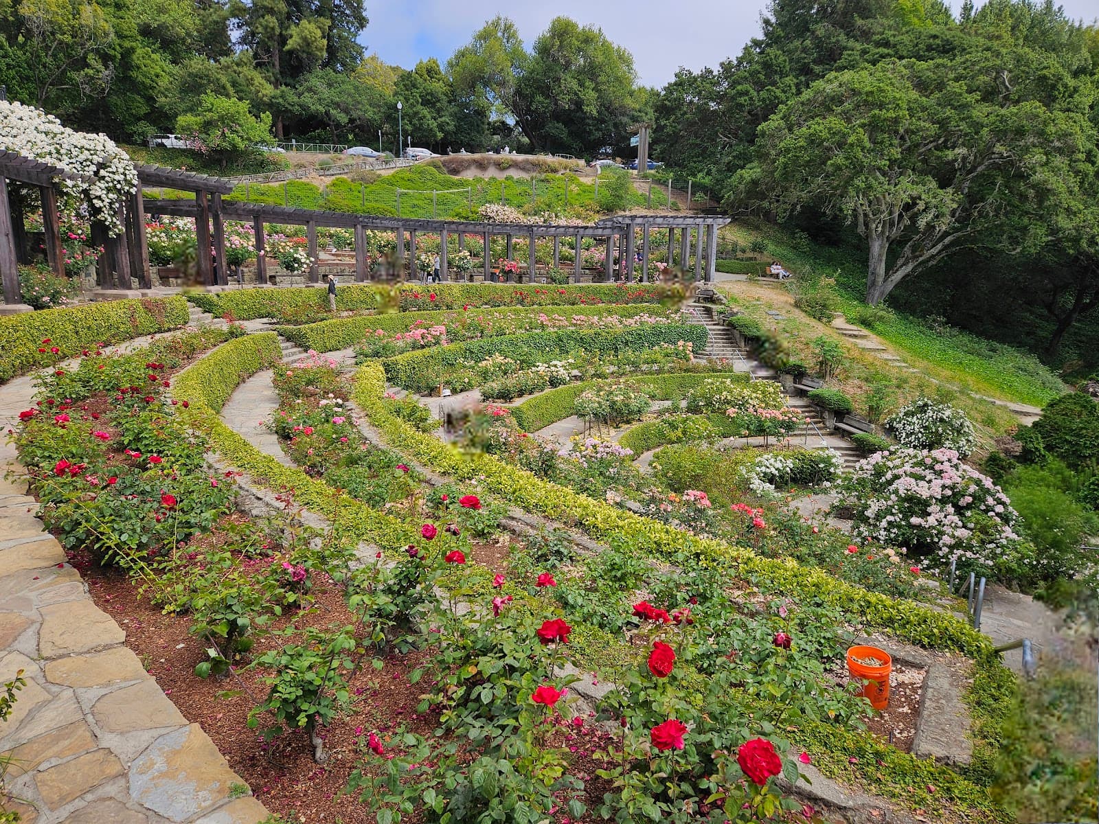 Berkeley Rose Garden - Image 1