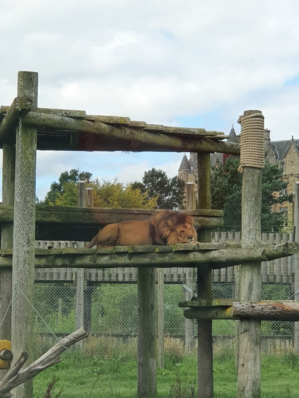 Blair Drummond Safari Park - Image 1