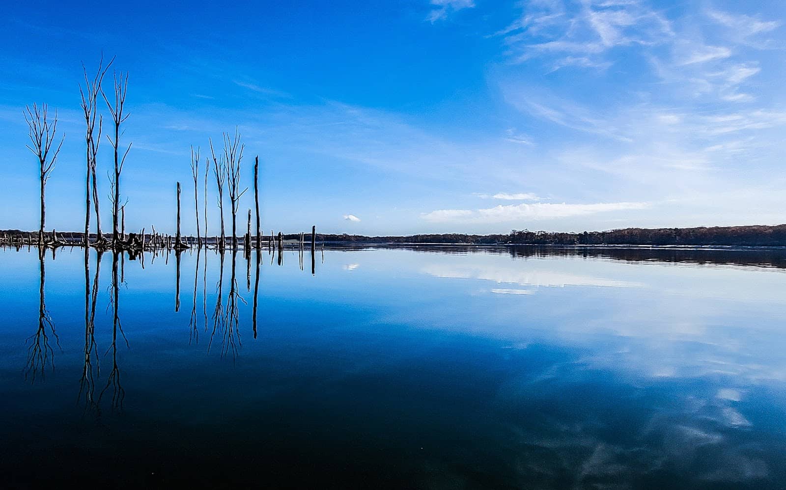 Picnic Spots with Views