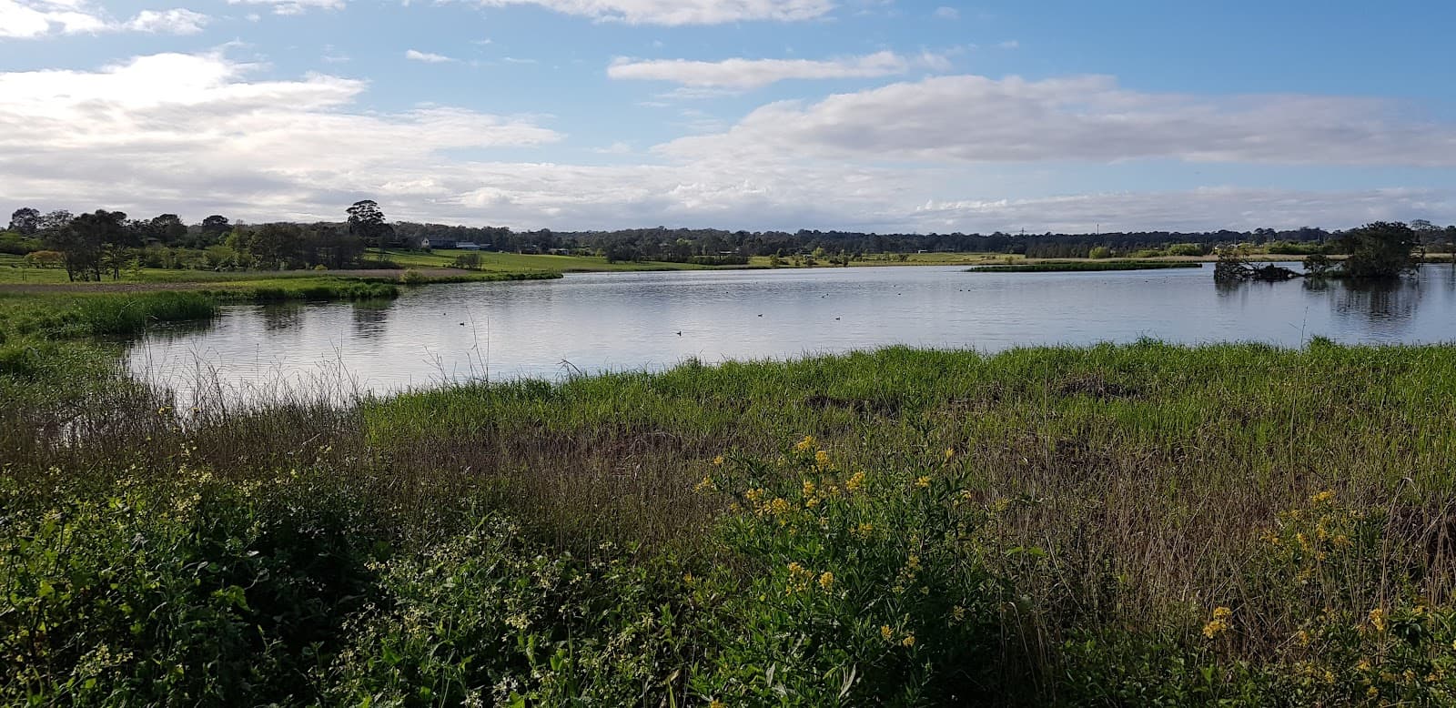 Pitt Water Nature Reserve - Image 1
