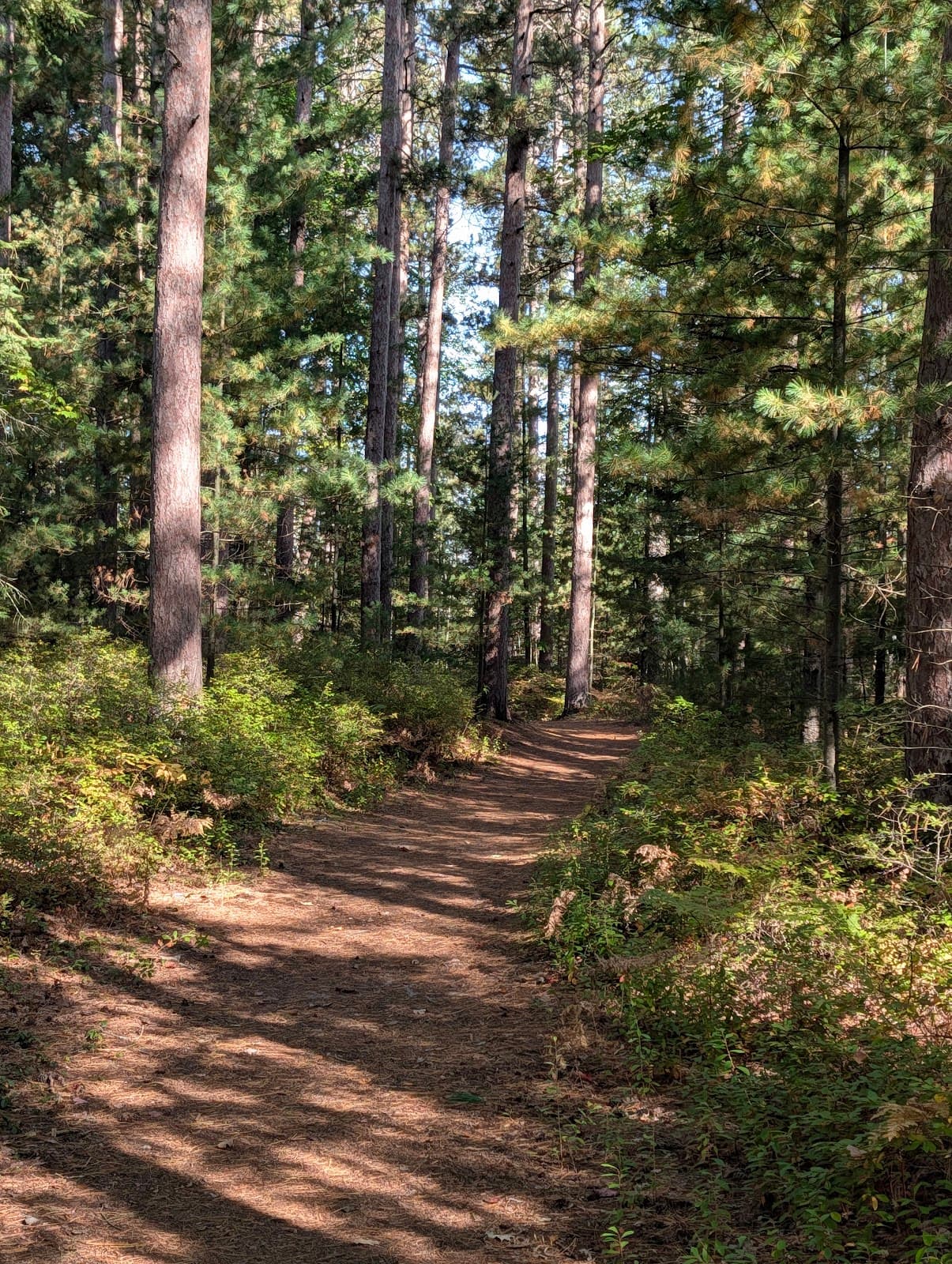 Alpena Bi-Path - Image 1