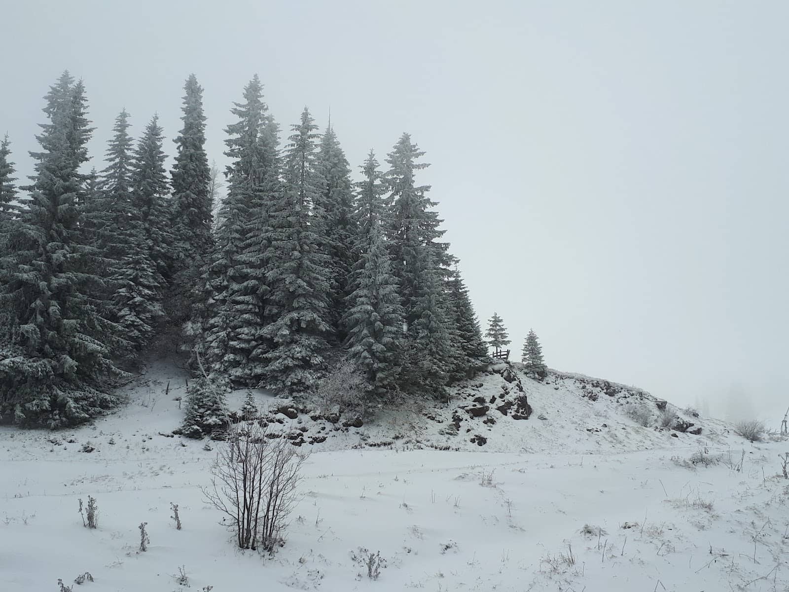 Vertical photo