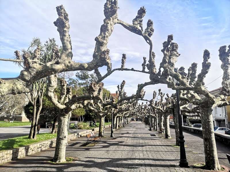 Parque Posada Herrera - Image 1