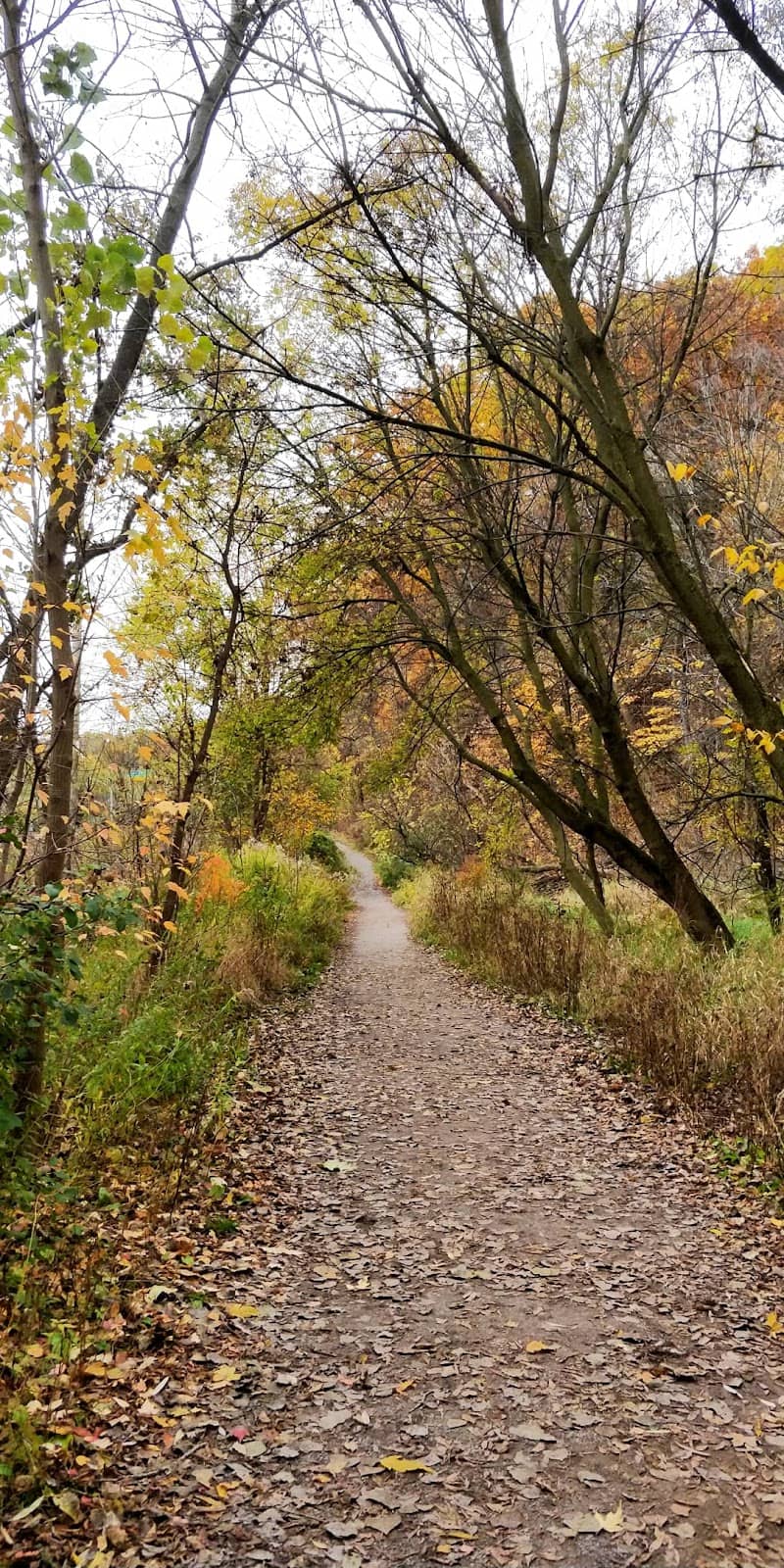Midtown Toronto Views