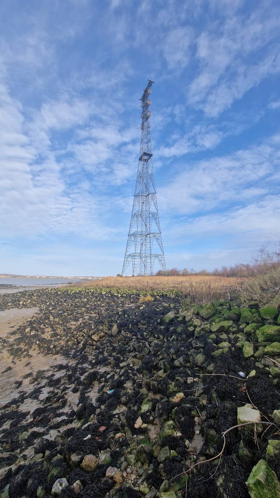 Expansive Open Marshes
