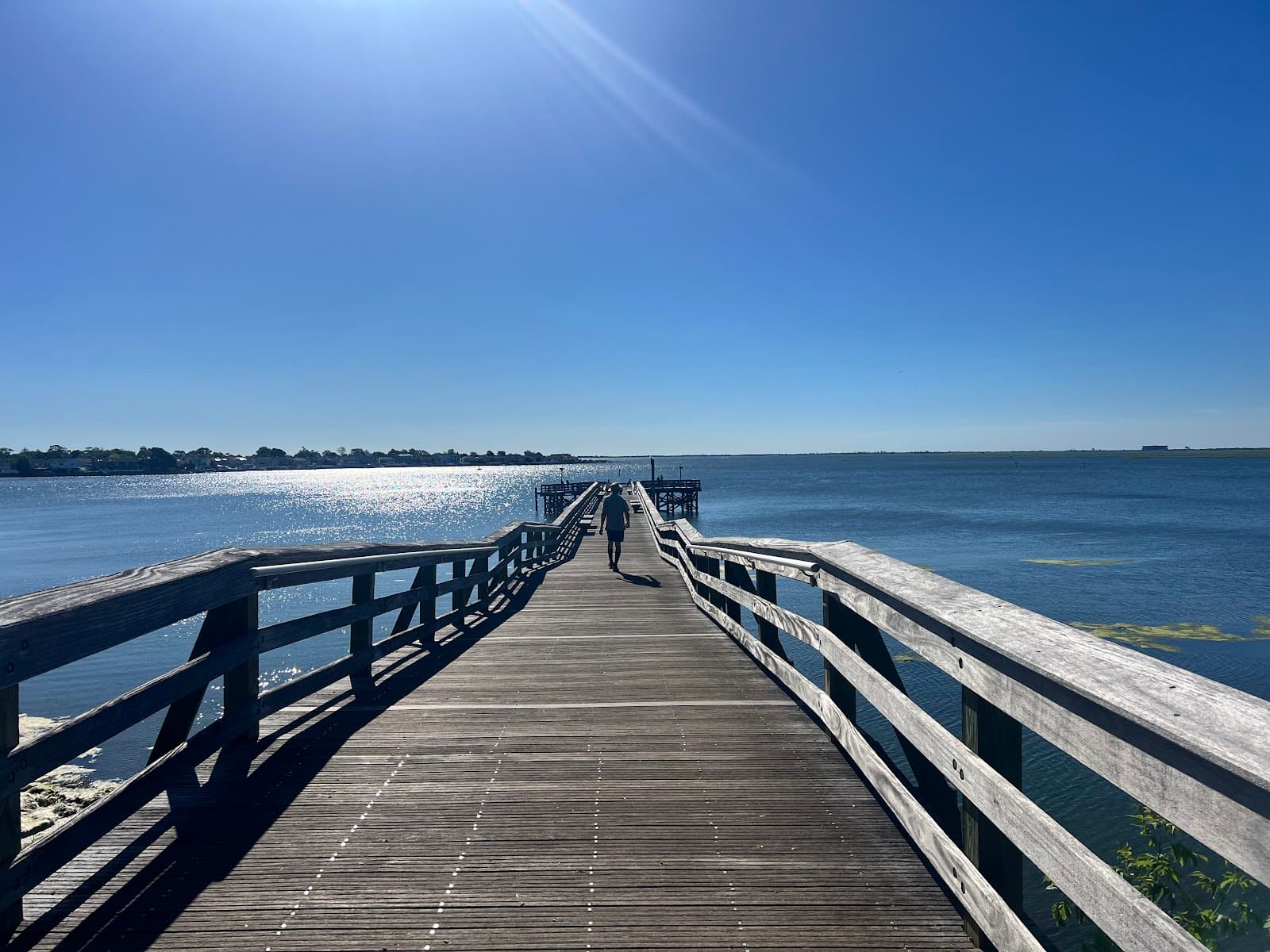 Norman J. Levy Park & Preserve - Image 1
