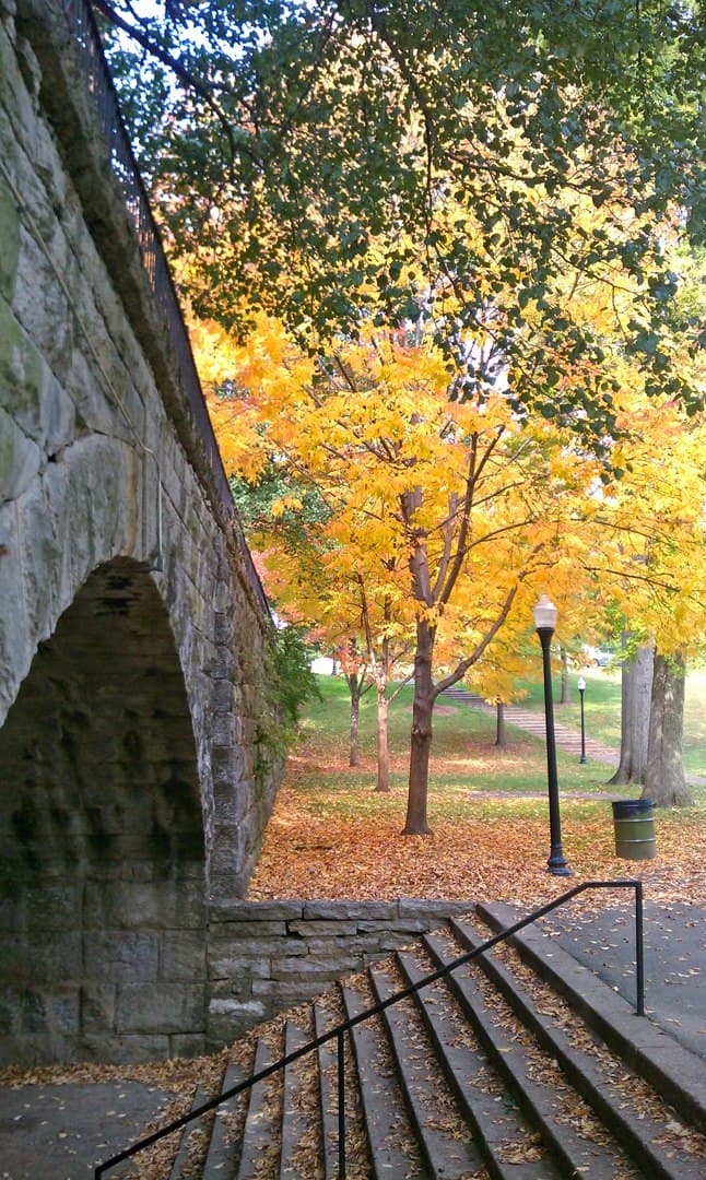 Tyler Park - Image 1