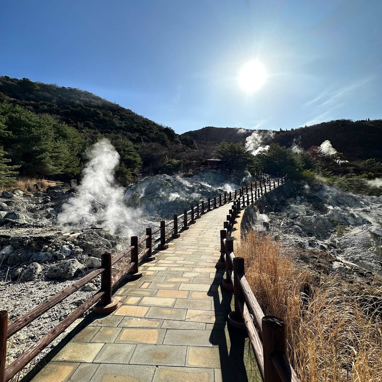 Steaming Vents & Bubbling Mud