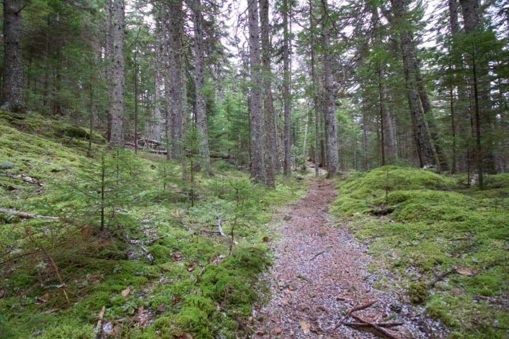 Scenic Walking Trails