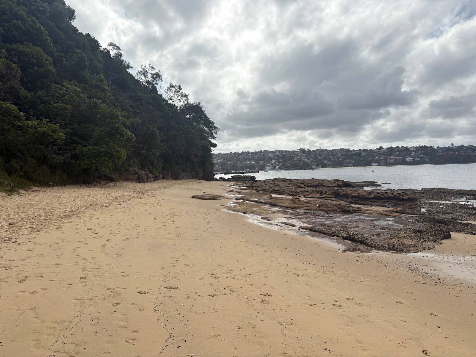 Marine Life Encounters